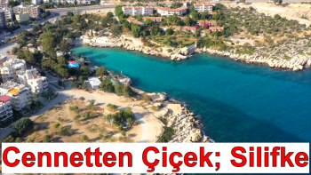 Cennetten Çiçek; Silifke