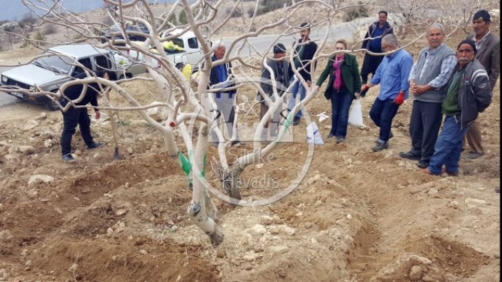 Bilinçli Üretim Kaliteli Verim