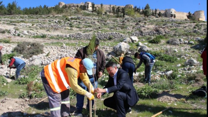 Mali Müşavirlerden Hatıra Ormanı 