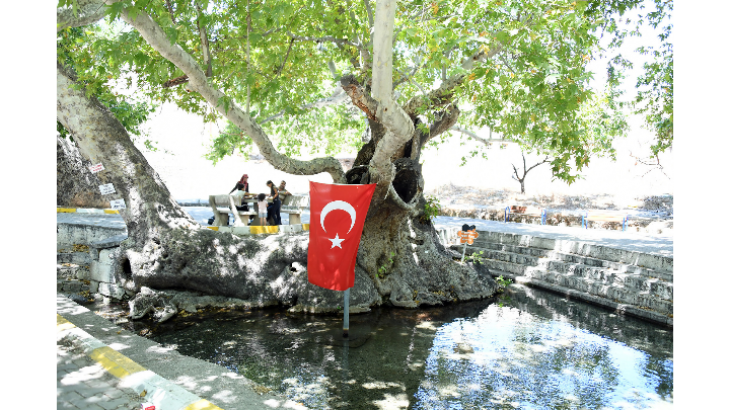 Zeyne, Büyükşehirle Cazibe Kazandı